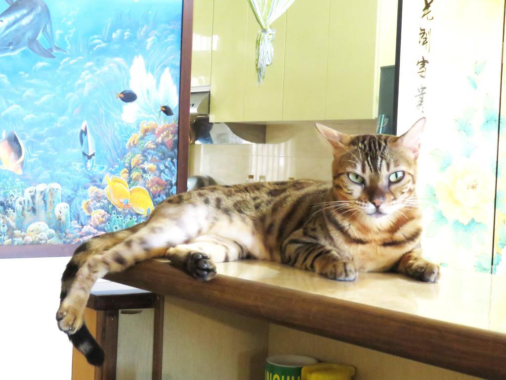 Tou Cheng Whale Watching Homestay Тоучэн Экстерьер фото